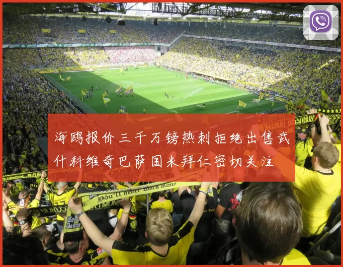 海鸥报价三千万镑热刺拒绝出售武什科维奇巴萨国米拜仁密切关注